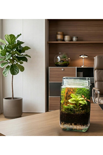 Generic Verdant Ember