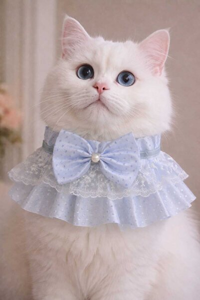Winnie The Pet Cat Collar Design