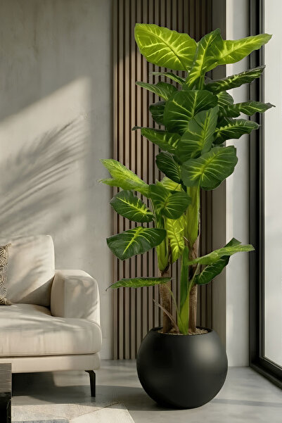 Armada Flora 160 cm Yapay 2 gövdeli Difenbahya Ağacı 30x30 Küre Saksı