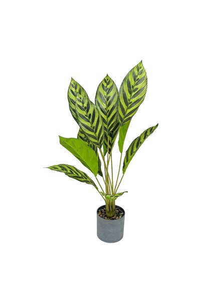 AFO Τεχνητό Φυτό Καλάθεα Ζέβρα 63 εκ.