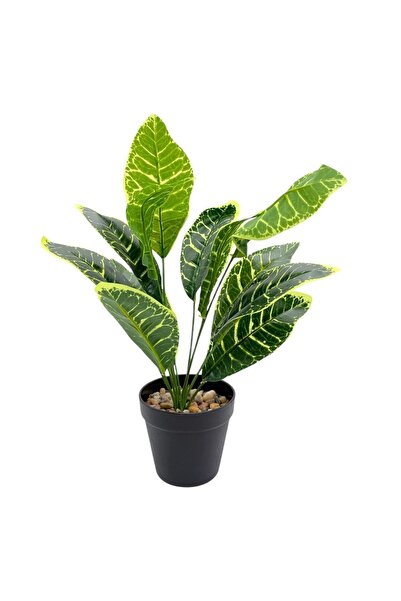 AFO Πλαστική Κωνική Γλάστρα Τεχνητό Φυτό Διφενμπάχια Πράσινο με Κίτρινο 46εκ.