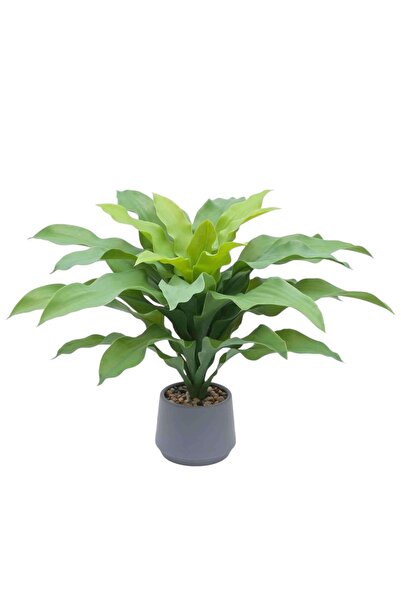 AFO Κορυφαίας ποιότητας τεχνητό φυτό Ντρακένα Μπράουνι 50 εκ.