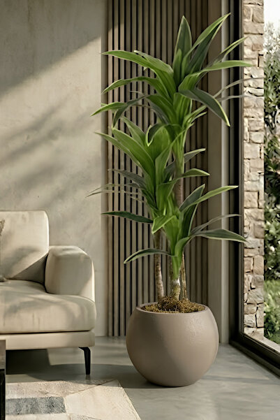 Armada Flora Yapay Yucca (Yuka) Ağacı 170 cm - 3 Gövdeli & 30x30 Küre Saksı