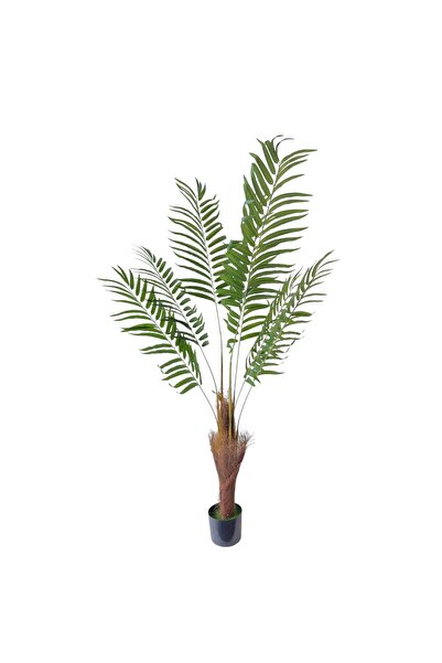 AFO Τεχνητό Φυτό Κοκοφοίνικας Premium 160εκ.