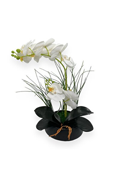 AFO Τεχνητή ορχιδέα δύο συρραπτικών κλώνων σε γλάστρα με γρασίδι - Λευκή