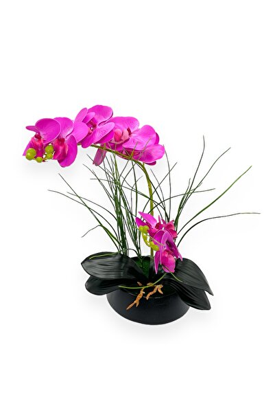 AFO Γλάστρα με 2 σύρματα, Τεχνητή Ορχιδέα με Χόρτο σε Γλάστρα - Siclam