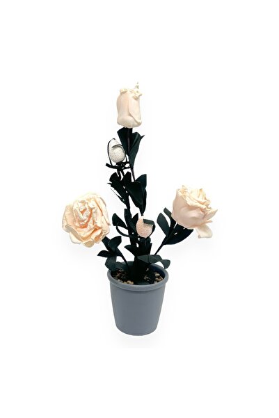 AFO Vintage Foam Rose 3-Wire Pot - Cream