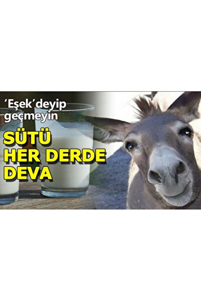 rrm tedarik Günlük sınırlı üretim(10adet) %100 katkisiz EŞEK sütü 1lt TÜRKAN ANA