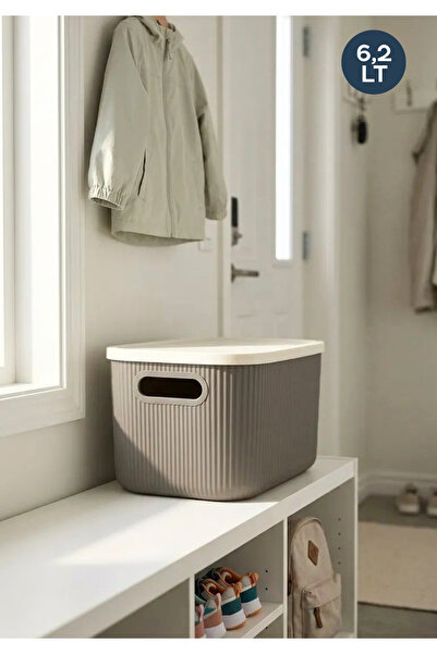 HOMİNG Gri-Krem Kapaklı 6.2 lt Çok Amaçlı Kutu Organizer