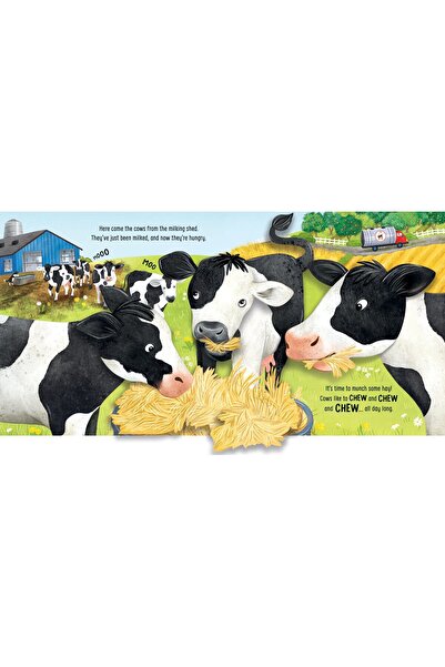 Usborne Fermă pop-up