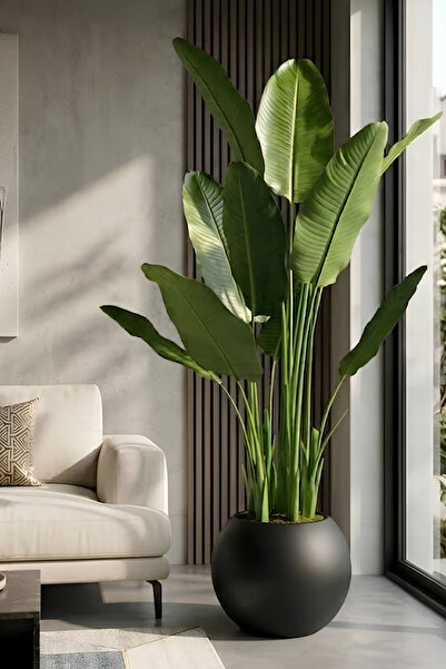 Armada Flora Yapay Muz Ağacı 165 cm 30x30 Küre Saksı