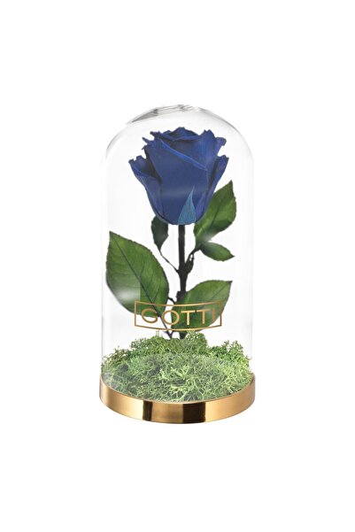 GOTTI Trandafir Criogenat Albastru – Cupolă de Sticlă Premium