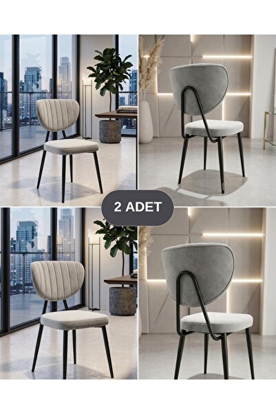 ÖZCAN METAL 2 Adet Krom Metal Ayak Kelebek Mutfak Salon Sandalyesi Kafe Resto...