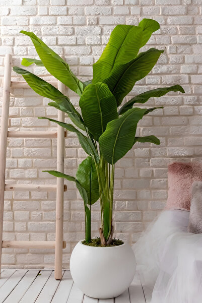 Armada Flora Yapay Muz Ağacı 180-190 Cm 30x30 Küre Saksı