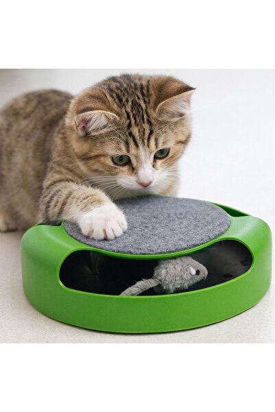 ZanaCasei Cat Toy with Moving Mice ?25x6.5cm