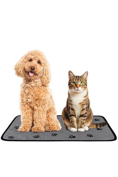 ZanaCasei Grey Training Mat with Paw Pattern for Dogs 70x55cm