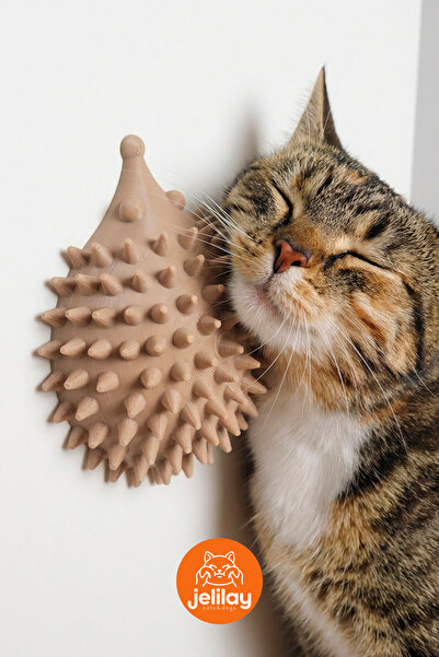 Jelilay Duvara Yapıştırılabilir Sevimli Kirpi Kedi Kaşıma Oyuncağı - Kendini ...