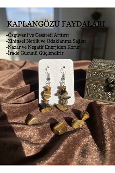 Meneva Aksesuar Tiger Eye Natural Stone Earrings
