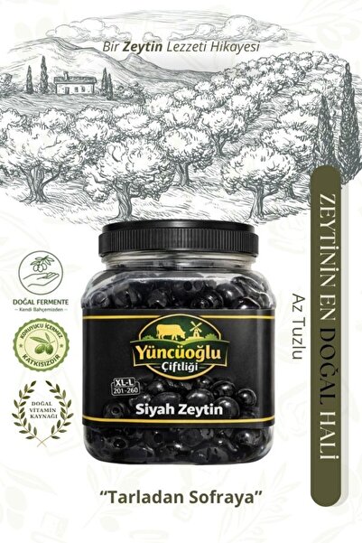Çiftliği Premium Siyah Zeytin XL-L 201-260 Kalibre - Doğal Salamura Katkısız Sele Zeytini 900 Gr
