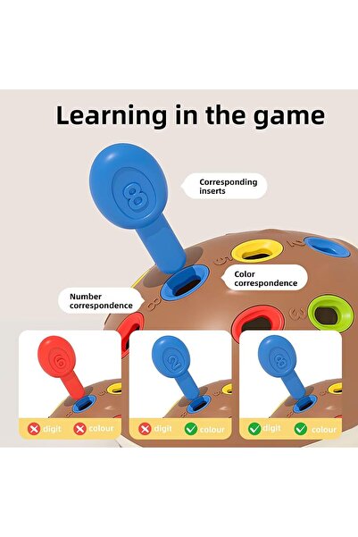 Arabest Hedgehog Learning Toys, Fine Motor Sensory for Toddlers 18+ Months, C...