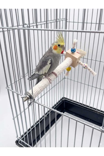 UniqBirdToys Uniq Bird Toys Swirled Bird Perch