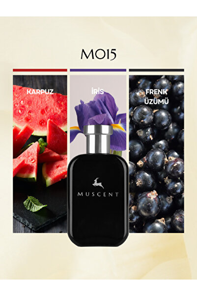 MUSCENT M015 Ultramarin 50 ml.