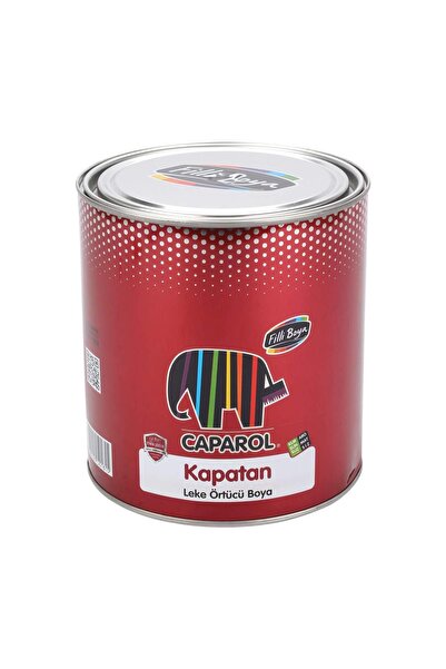 Filli Boya Filli Caparol Kapatan Leke Örtücü Boya 2,5lt