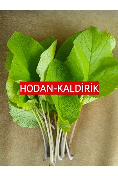 Genel Markalar 250 Gr.Kaldirik - Hodan - Ispıt Otu