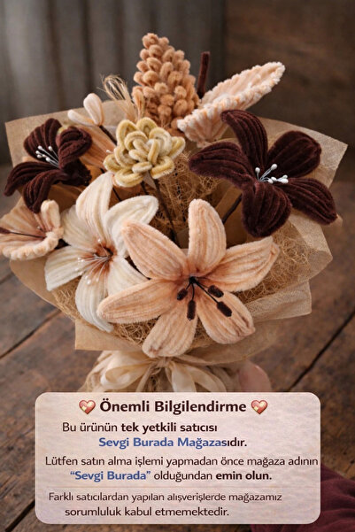 Sevgi burada Hediyelik Toprak Tonları Şönil Karma Saksı Çiçek (Yeni)