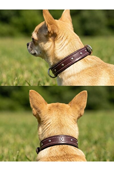 Hakiki Deri Fino Köpek Boyun Tasması 2cm X 45cm