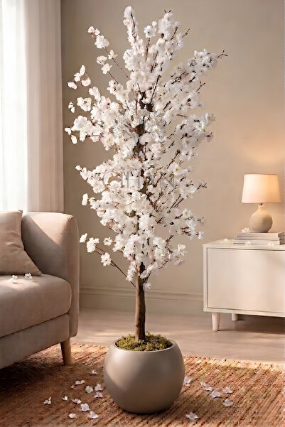 Cihan Çiçekçilik Yapay Beyaz Bahar Dalı Ağacı 200cm - 27x33 cm Küre Saksılı