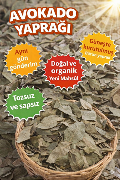 Diyet AVM Avokado Yaprağı - 25 gr - %100 Doğal ve Yeni Mahsul
