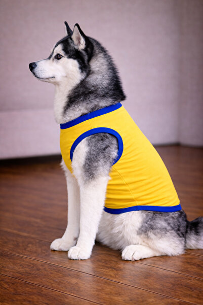petite pati Sari Heart Dog Tshirt Dog Clothing (100% Cotton Combed Cotton) Small and Large Breeds