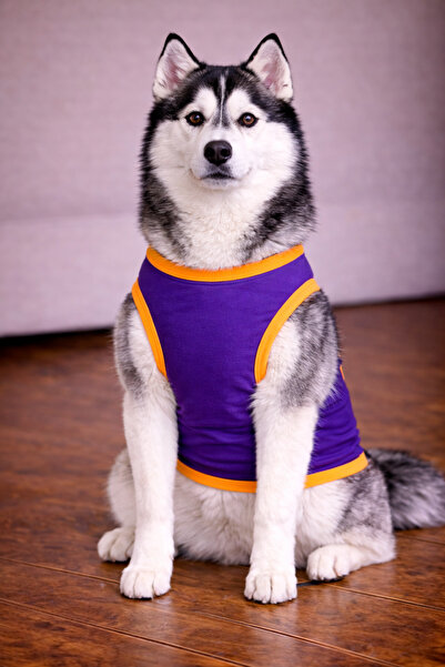 petite pati Purple Is the Color of Dogs T-Shirt Dog Apparel (100% Cotton Combed Cotton) Small and Large Breeds