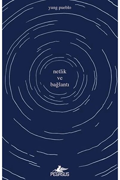 Pegasus Yayınları Netlik ve Bağlantı
