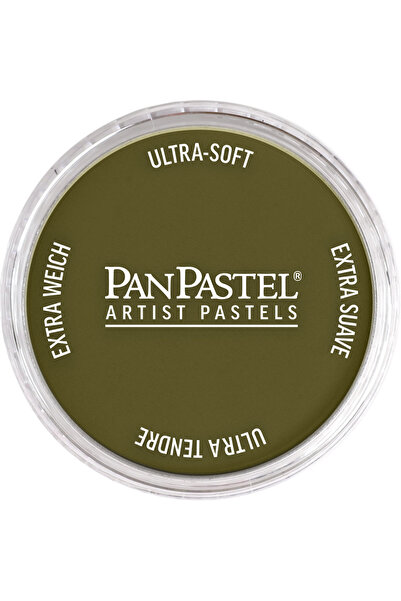 Panpastel Pp 270.1 Ylw Oxide Extra Dark