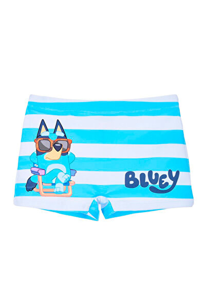 bluey and Bingo Striped Boys' Swim Trunks Blue