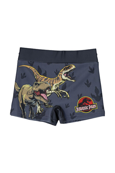 JURASSIC WORLD Jurassic Park Boys' Swim Trunks Grey