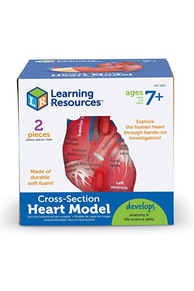 Learning Resources Sectiunea Inimii