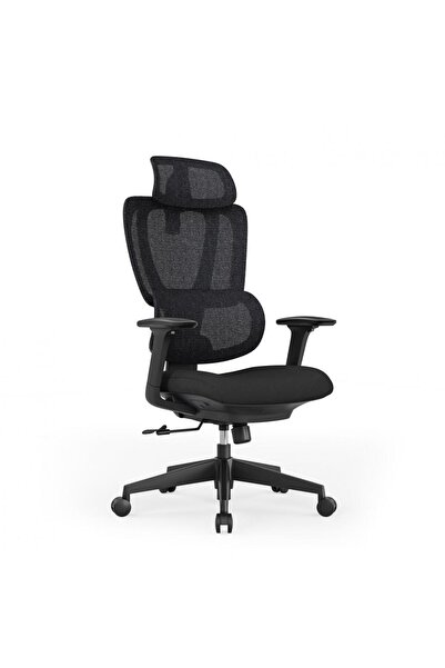 SERIOUX Scaun de birou ergonomic Aeromesh cu plasă și cotiere 3D, 150 kg