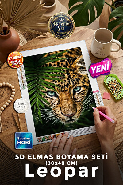 Haneliya 5D Elmas Boyama Seti | Diamond Painting Taşlı İşleme Boncuk Dizme Mo...