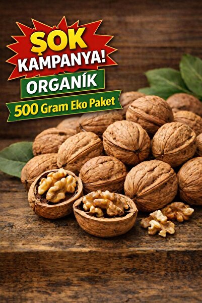 zernut Kabuklu Ceviz Organik Dağ Cevizi 500 Gram