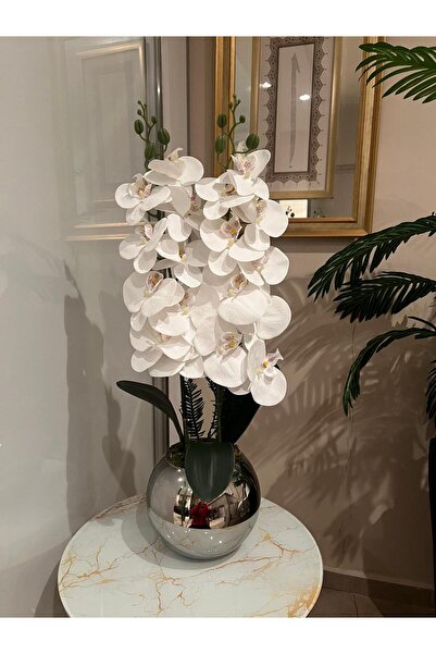 Acarya Design Gümüş renk cam küre vazoda 2'li ıslak orkide aranjmanı