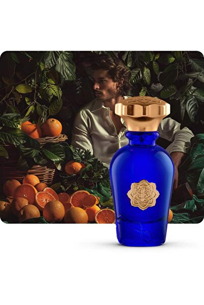 ALBAIT ALDIMASHQI PERFUME عطر إنفيكتوس بلاتينيوم للرجال، ماء عطر 75 مل، عطر ر...