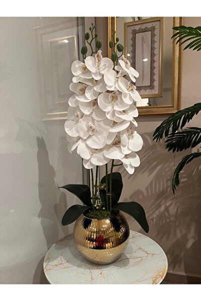 Acarya Design Altın renk küre vazoda 2'li ıslak orkide aranjmanı