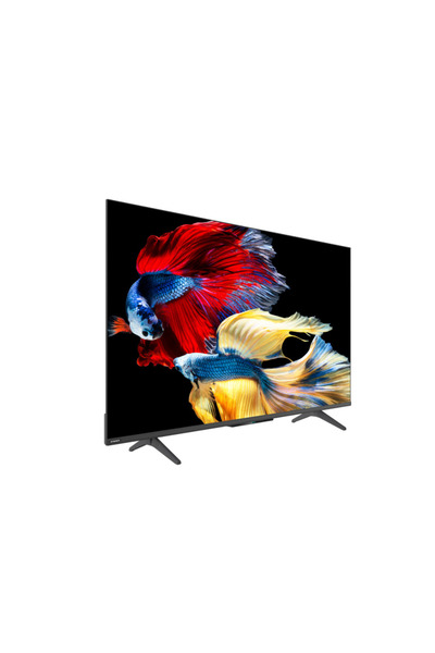 Skyworth شاشة 55X6600H - 55 بوصة غير لامعة بتقنية QD-Mini LED، 60 هرتز (جوجل تي في)