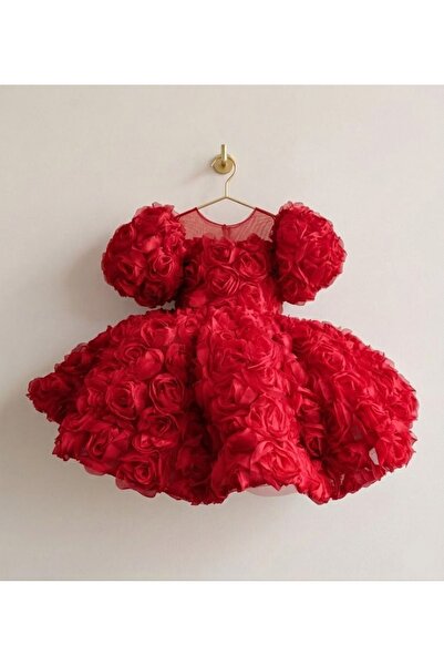 HOBİ Hobiboutique Roselyn Kız Çocuk Kabarık Gül Detaylı Doğum Günü Elbisesi A...
