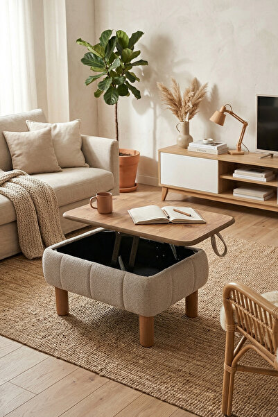 Zem Ester Sandıklı Mekanizmalı Orta Sehpa/Bench, Sütlü Kahve