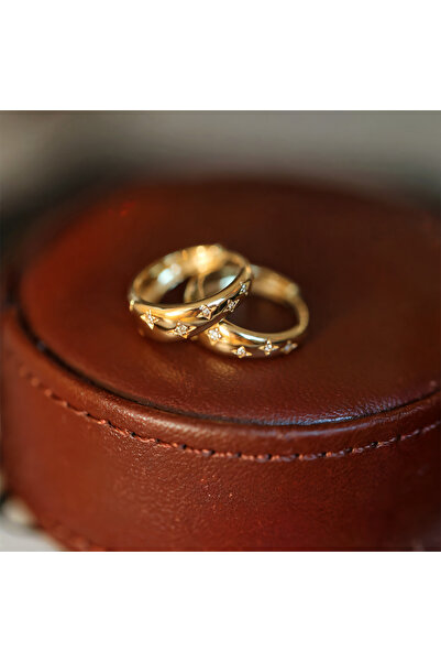 Nailvana Σκουλαρίκια από ασήμι 925 επιχρυσωμένα 18Κ με ζιργκόν