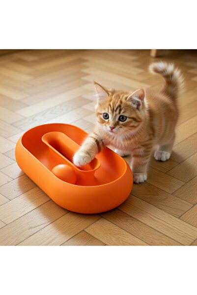 kedi oyun